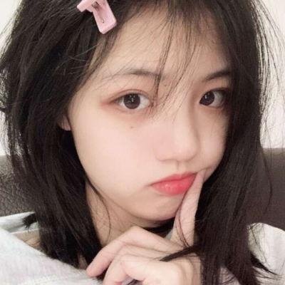 飞行员呆呆鸟